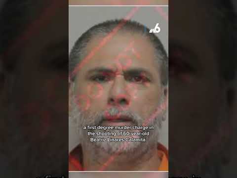 Shocking video shows woman fatally shot in SW Miami-Dade home by brother: Sheriff