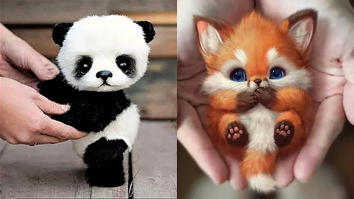 10 Cutest Baby Animals That Will Make You Go Aww - DayDayNews