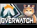 El juego del gato y el ratón Edición 'Persiguiendo a mi tanquecito' | Overwatch thumbnail