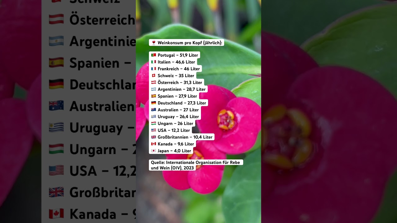 🍷 Weinkonsum pro Kopf (jährlich):