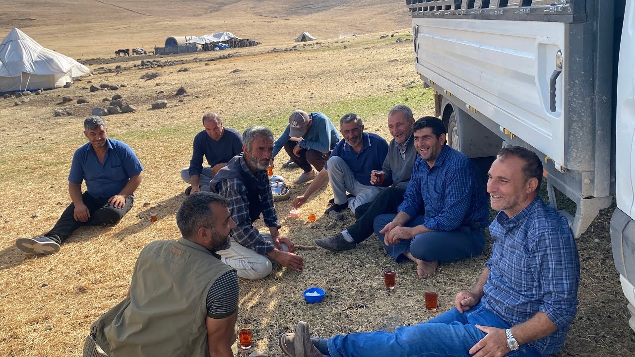 KUZU VE YAŞLI KOYUNLAR YAYLADA SATILMAYA BAŞLADI 105 ERKEK KUZU YAŞLI KOYUN SATILDI.