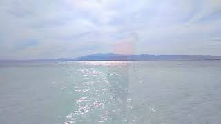 Tubia Island #Egipt