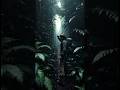 What is Hidden Inside the Amazon Rainforest? 🌳🐍 #viral #shorts