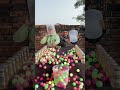 Amazing multicolour boll collection funny family challenge video 🫣🚀 #funny #funny #challenge