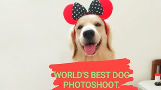 The Best Hot Photoshoot Of My Dog Suzi