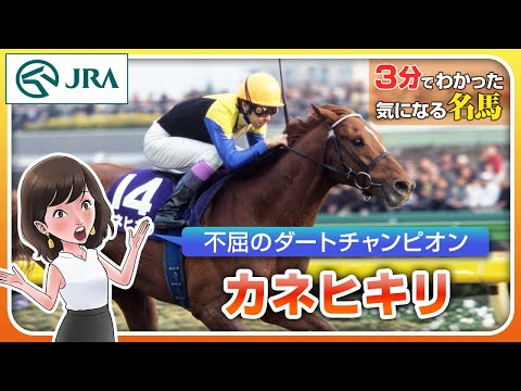 【カネヒキリ】ルメール騎手直筆サイン　ジャパンカップダート　東京大賞典　川崎記念 カネヒキリ】ルメール騎手直筆サイン ジャパンカップダート 東京
