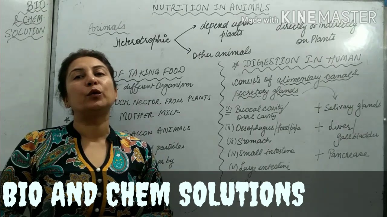 Nutrition in animals - introduction - YouTube