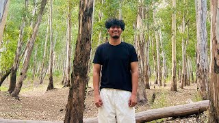 Ambala’s forest |MMDU|Sayed Rashid