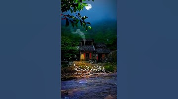 ليطمئن قلبك 💛 جمال وهدوء لايوصف ... تلاوة للنوم والراحة النفسية 💤😴 #القرآن_الكريم #قرأة #love