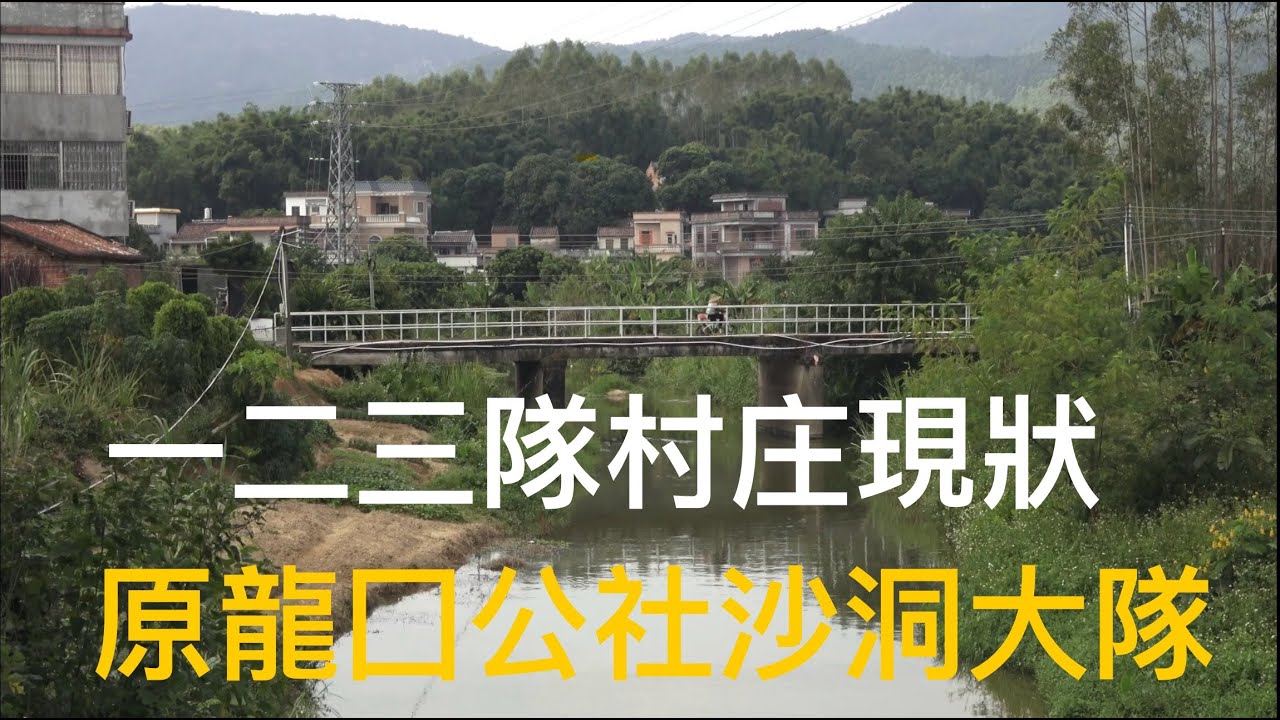 江門市鶴山龍口鎮沙洞村遊記。沙洞與雲南村合拼後現屬沙雲村委。