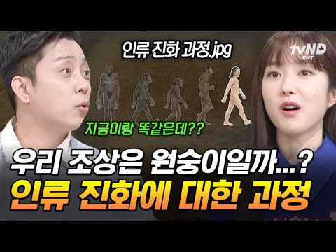 [#벌거벗은세계사] 걷다 보니 대륙까지 진출한 인류💨 보법부터 달랐던 인류의 진화 과정 정리💯
