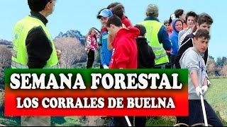 Alumnos De Secundaria Eliminan Plumeros En La Semana Forestal