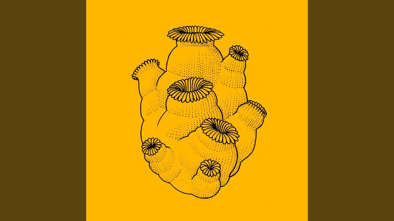 Bebé Durmiendo Cumbia