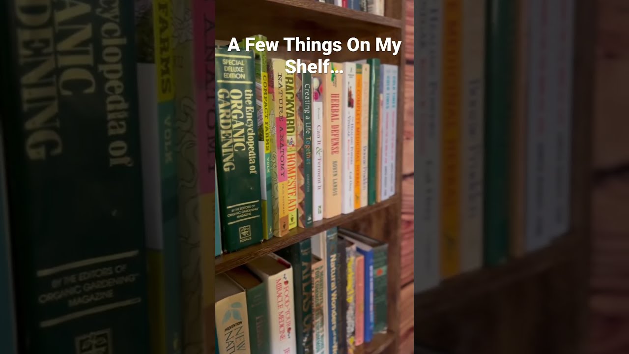 A Few Things On My Shelf