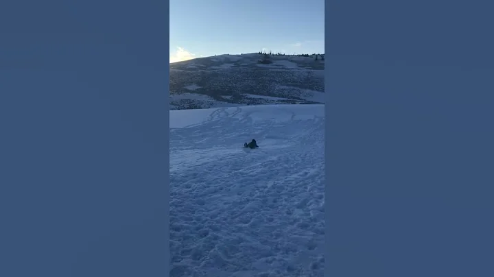 LEO DOWNHILL