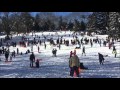 The Day After Winter Storm Jonas (2016): Central Park, NYC