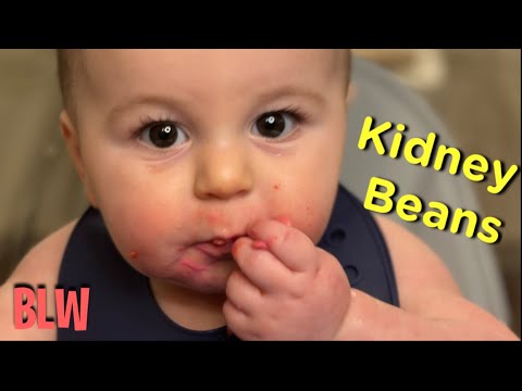 Maverick tries Kidney Beans - Baby Led Weaning (8 months)