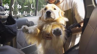前は怖かったキャンプも今では大好きになった愛犬