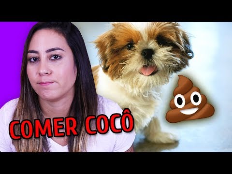 Vídeo: O Que Acontece Se Você Comer Cocô: Doença, Cocô De Cachorro E Muito Mais