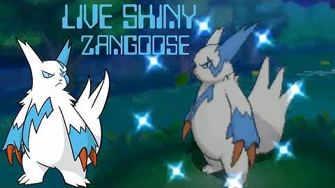 [Live] Shiny Zangoose at ONLY 7 Dex Nav Encounters | Omega Ruby