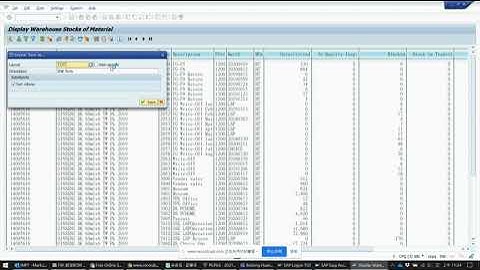 SAP report by using default layout as always