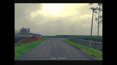 story WA || lagu Aftershine : Nangisi Lungamu