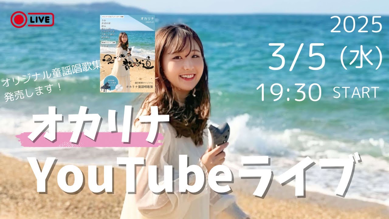 かりななな Homologation Special – 1992 Kawasaki Ninja ZX-7R K2 | Bike-urious