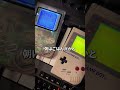 ニョキニョキペンギンでした。#小梅太夫