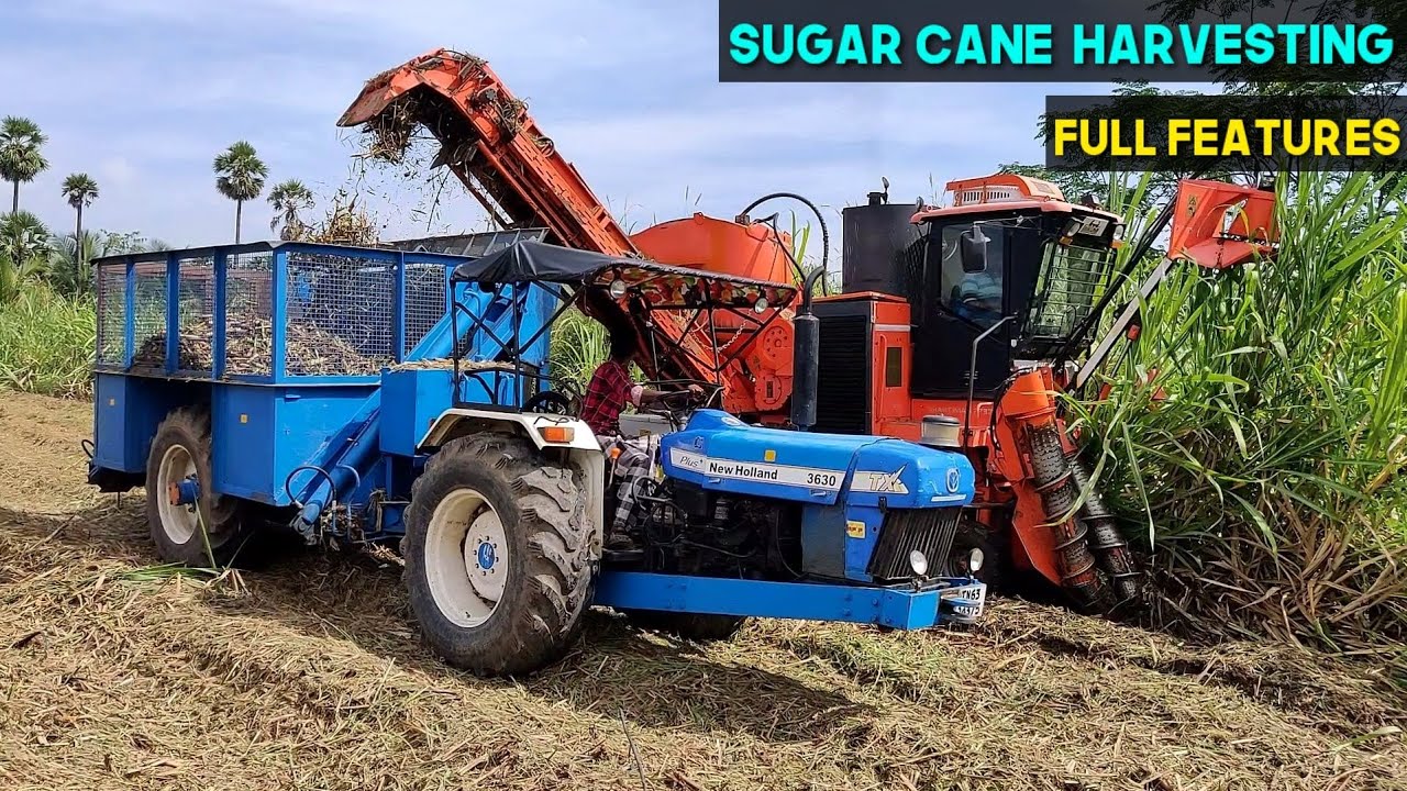 Sugarcane Cutting Machine