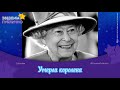 Умерла королева Великобритании Елизавета II — Звездим публично