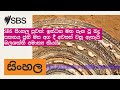 SBS සිංහල පුවත්: ඉන්ධන මත පැන වූ බදු සහනය ජූනි මස අග දී අවසන් වනු ඇතැයි බලශක්ති අමාත්‍ය කියයි |...