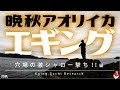 エギング穴場“激シャロー”で晩秋アオリイカを追ってみた！まだまだ秋は終わらない編
