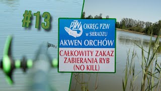 #nokill - Akwen Orchów I #pzw I #vlog 13