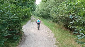 DJI Spark active track bush crash