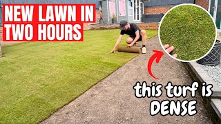 Laying a NEW LAWN for the Neighbours - Get a New Lawn in 2 Hours!