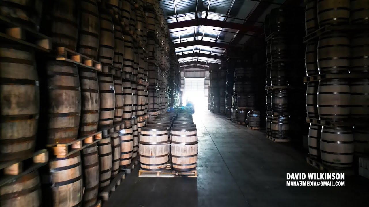 My Showreel