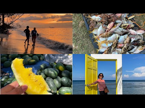 Best places to visit in Kudat #sabah  2023 #beach #sunset #seafood