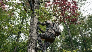 Celebrity The Forefront Series is a great option for midseason hunts all across the country! Net Worth