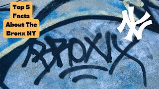 How To Experience The Bronx NY