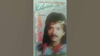 Caca handika - kabina bina