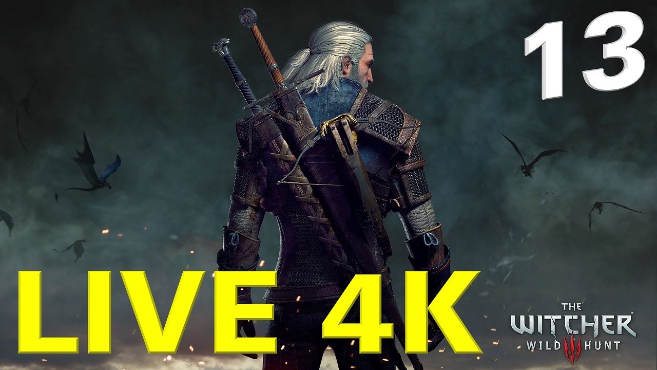 Live Stream 4K | The Witcher 3 Wild Hunt Gameplay Part 13 | RTX 2080Ti - no commentary - YouTube