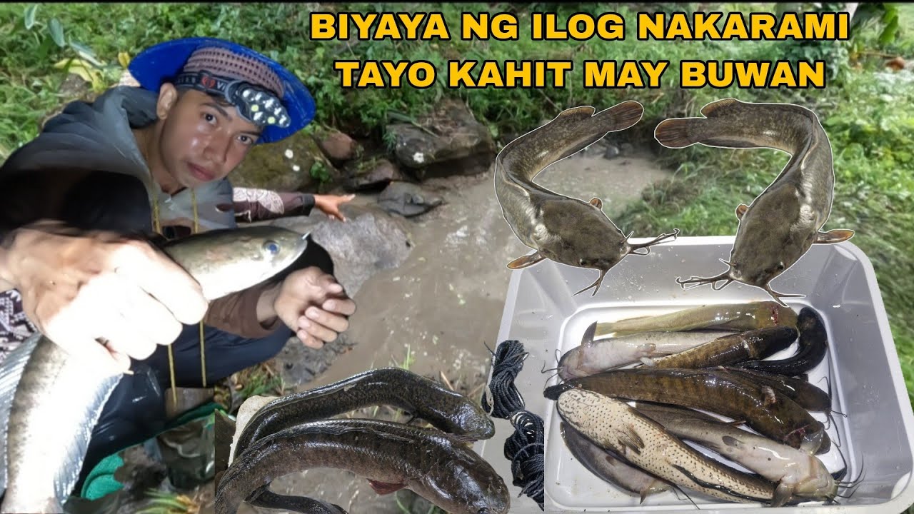 PINALAD TAYO MAKAHULI NG HITO AT DALAG SA TUYONG ILOG SALAMAT PO SA BLESSING 
