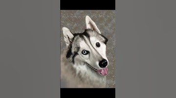 Procreate Drawing | Procreate Tutorial | Making Husky on Procreate Tutorial