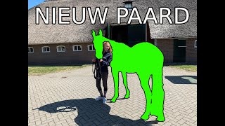 NIEUW PAARD | PAARDRIJDEN MET PLEZIER