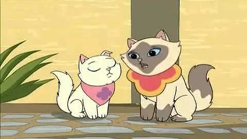 Sagwa The Chinese Siamese Cat  Cat and Mouse   YouTube