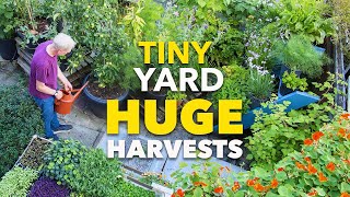 Tiny Yard Container Garden: How to Grow $1,000 of Food by GrowVeg 275,130 views 5 months ago 10 minutes, 14 seconds