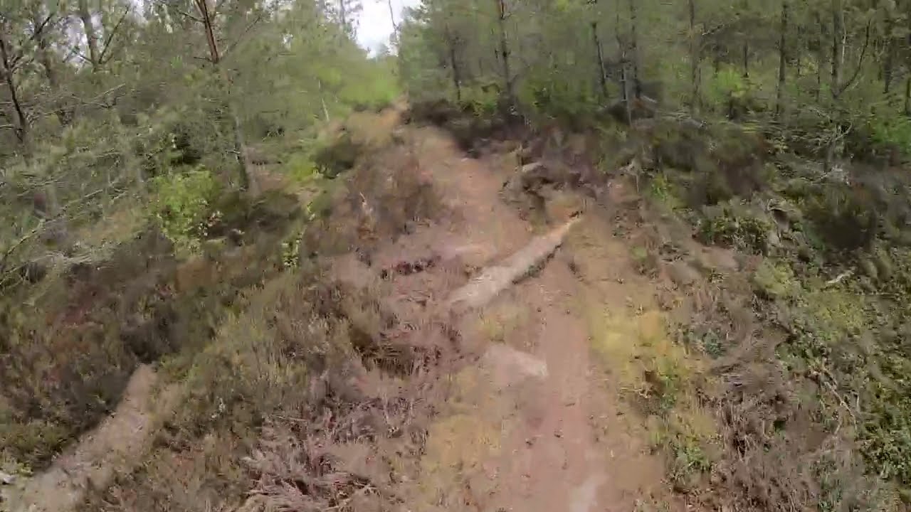 MTBO Camp 2025, M70 Middle, Lessebo, Småland, Sweden, 2025 06 01