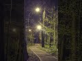 “The Last Text: The Murder of Kassie Hope Manning | Real 2025 True Crime Case”