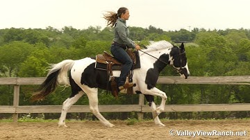 In Sebellas Shadow***For info, price, etc., go to our website: ValleyViewRanch.net***
