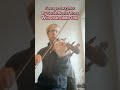 Savage daughter by Sarah Hester Ross with violin fiddle #fiddle #music #celtic #violin #irishmusic